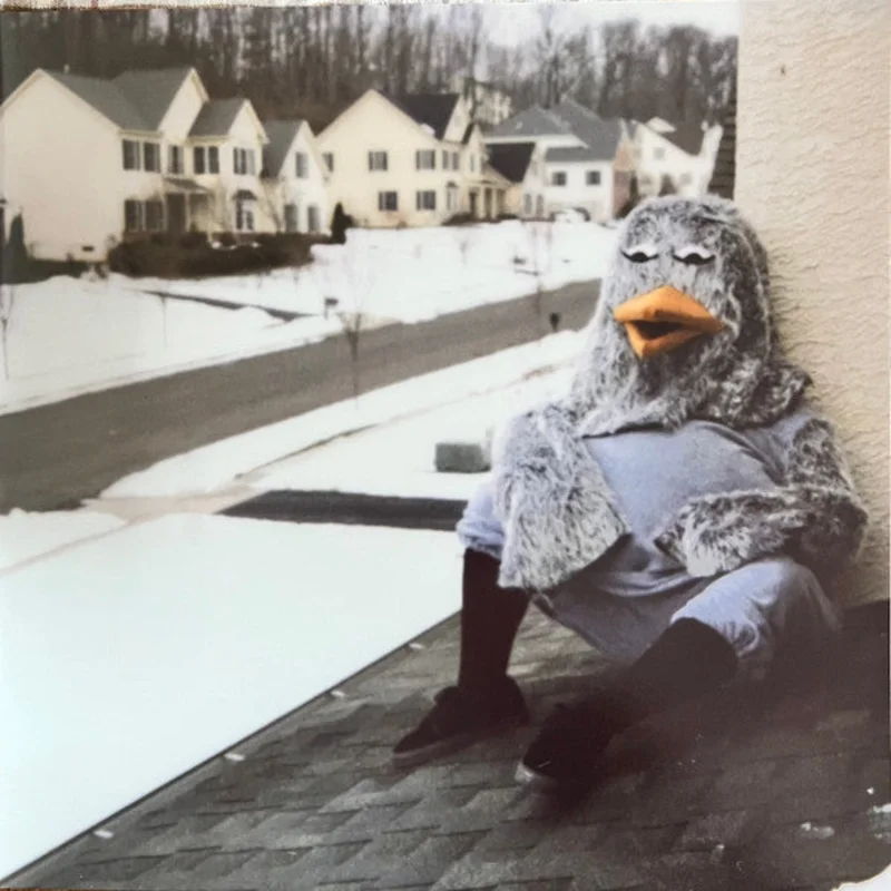 The Wonder Years-Suburbia I've Given You All And Now I'm Nothing LP