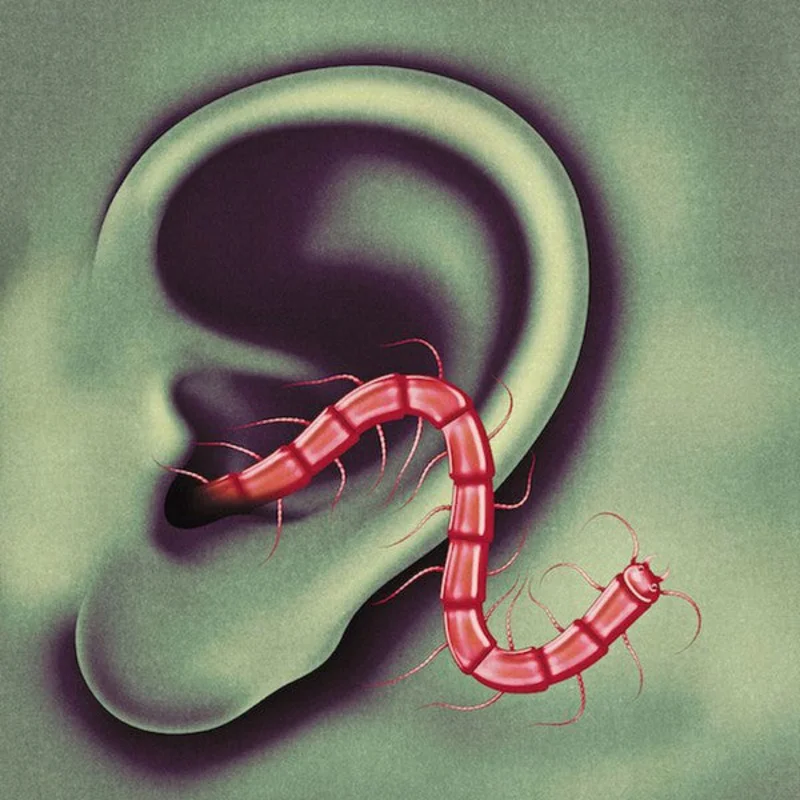 Thee Oh Sees | An Odd Entrances (New)