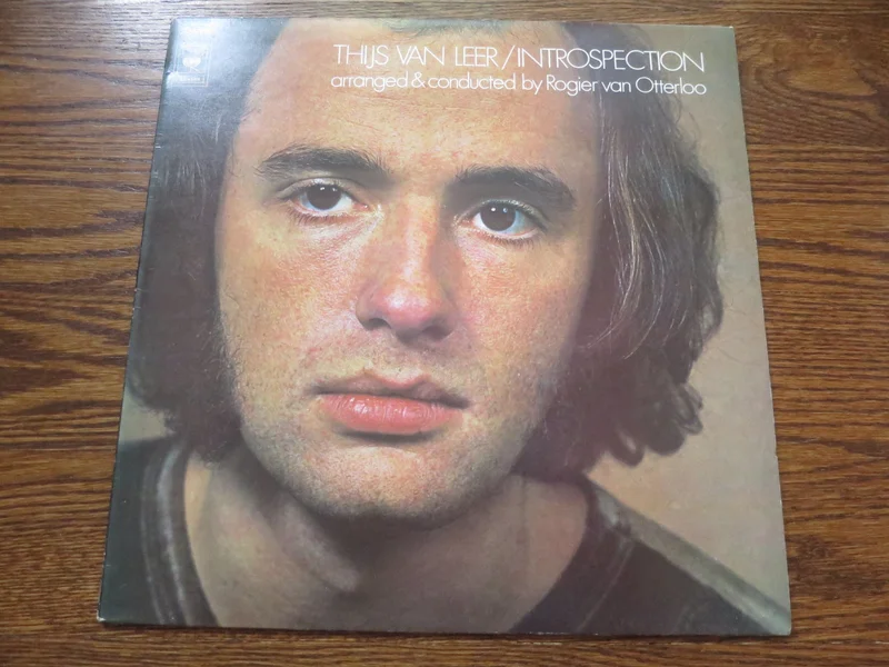 Thijs Van Leer - Introspection