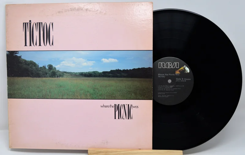 Tictoc - Where The Picnic Was