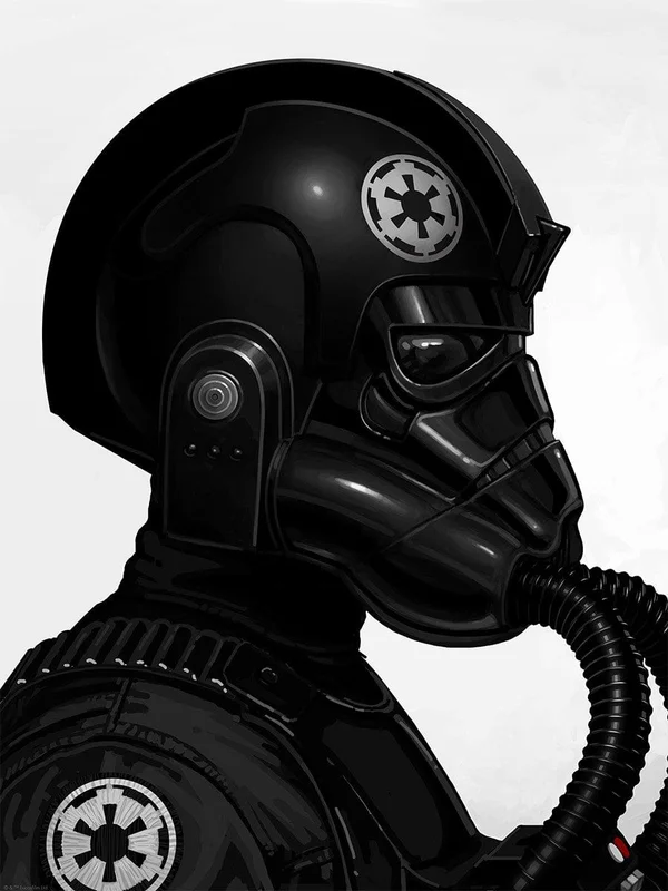 Tie Fighter Pilot
