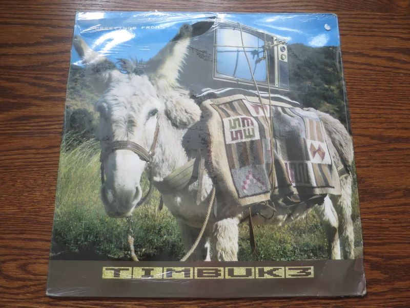 Timbuk 3 - Greetings From Timbuk 3