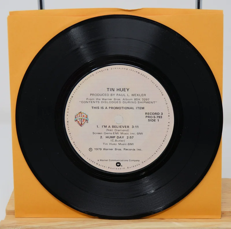 Tin Huey - I'm A Believer