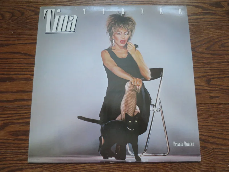 Tina Turner - Private Dancer