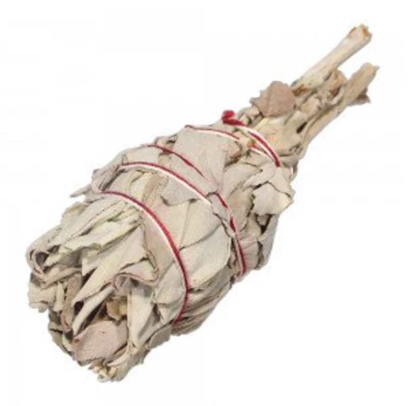 Torch Style White Sage