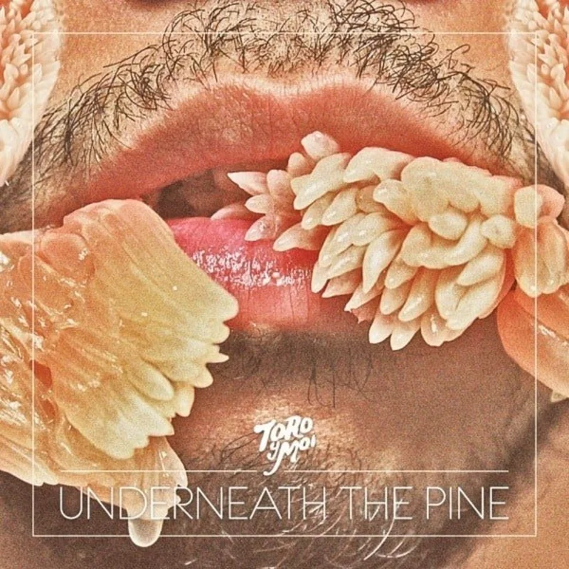 Toro Y Moi - Underneath The Pine