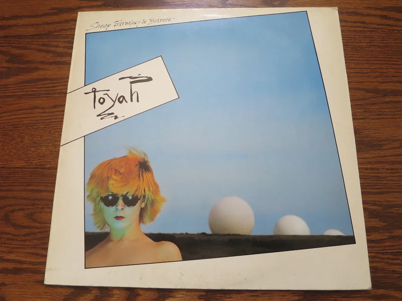 Toyah - Sheep Farming In Barnet