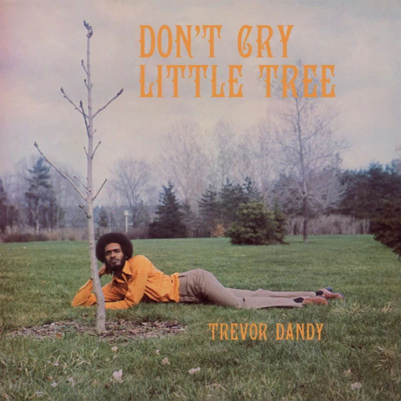 Trevor Dandy | Don't Cry Little Tree (New)