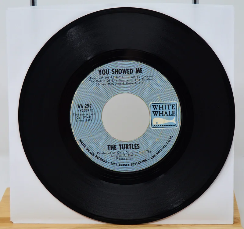 Turtles - You Showed Me