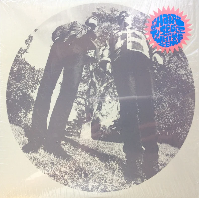 Ty Segall | Hair