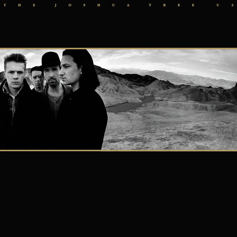 U2 - The Joshua Tree [2 LP, Black Vinyl]