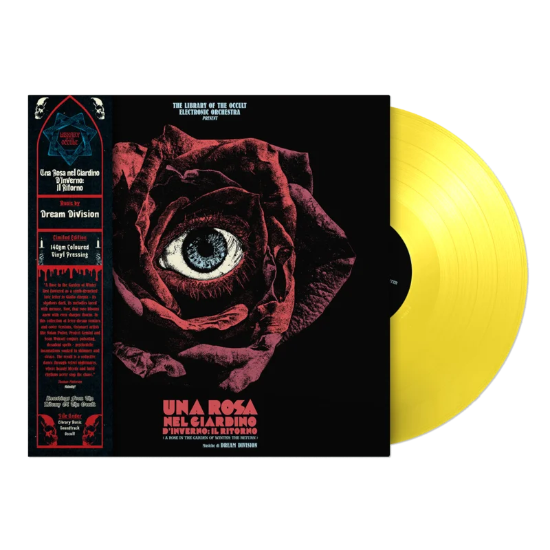 Una Rosa nel Giardino dInverno LP by Dream Division Yellow