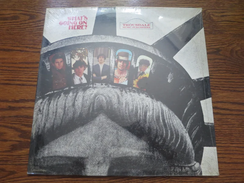 Various Artists - What's Going On Here?