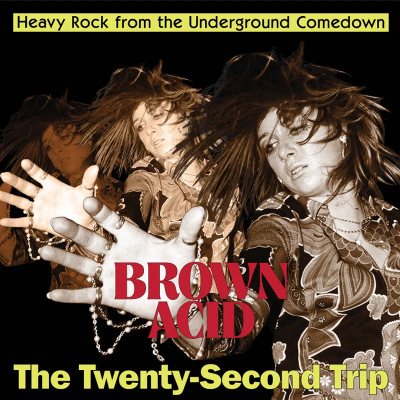 Various - Brown Acid: Twenty-Second Trip