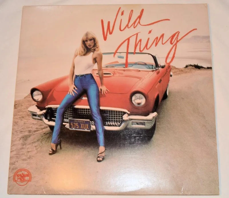Various - Wild Thing