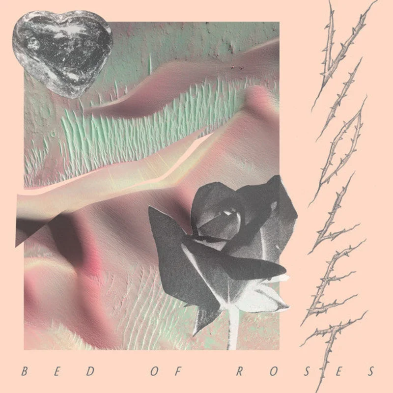 Violet (14) | Bed Of Roses