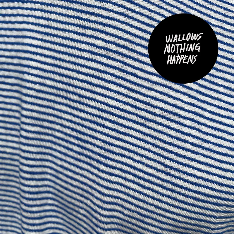 Wallows - Nothing Happens [Black Vinyl LP]