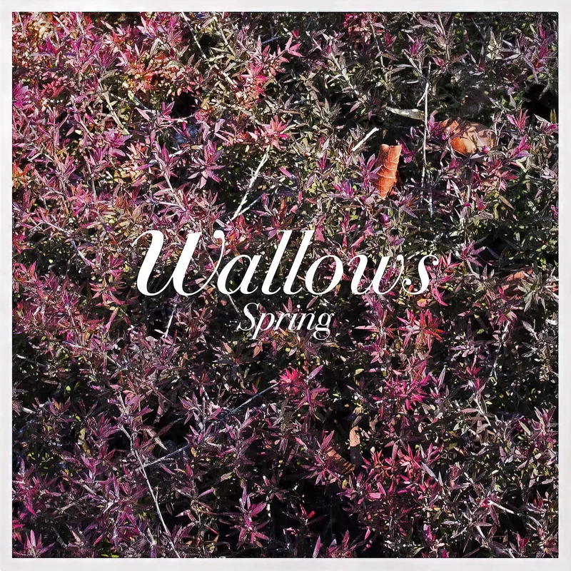Wallows - Spring [Pink & Green Vinyl EP]