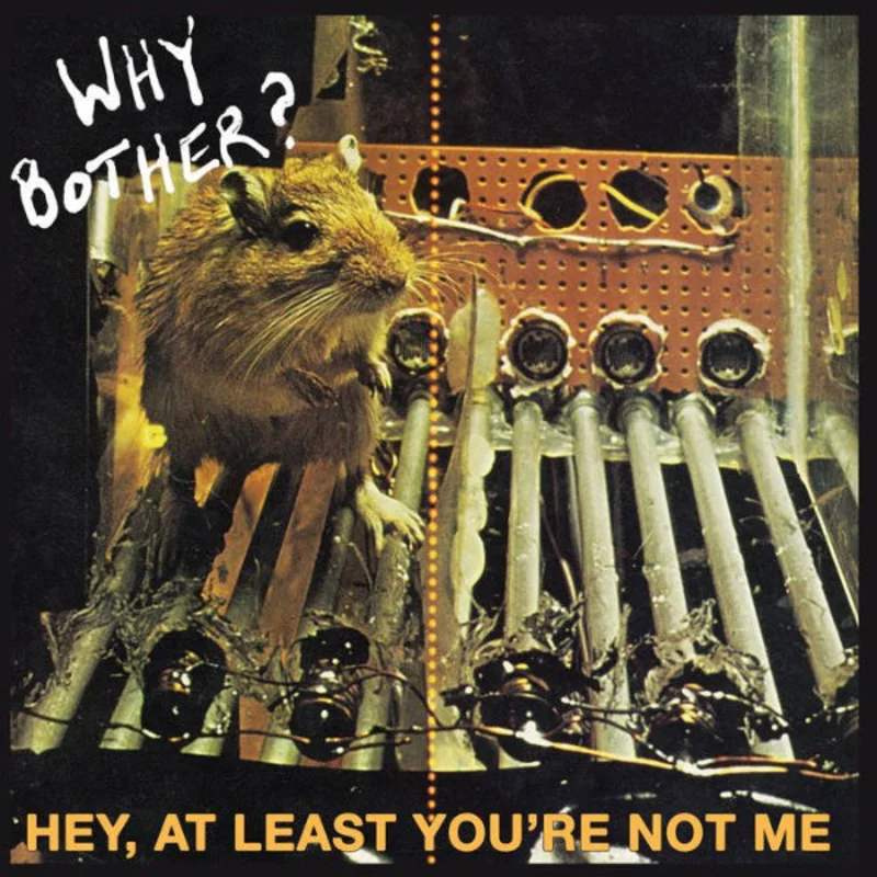 WHY BOTHER?- Hey At Least You're Not Me LP