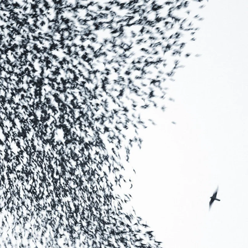 Wilco - Sky Blue Sky