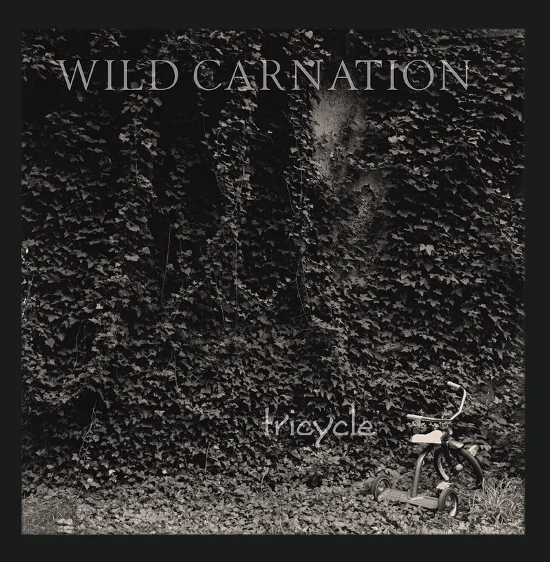 Wild Carnation - Tricycle