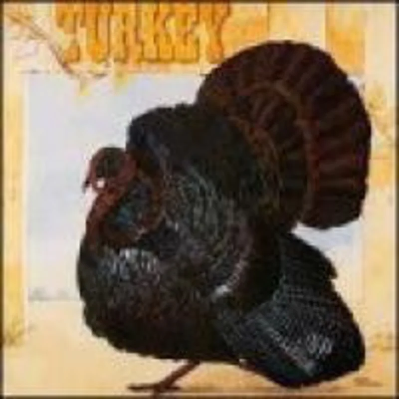 Wild Turkey | Turkey
