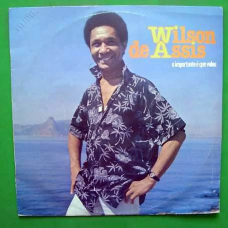 Wilson De Assis | O Importante  Que Valeu