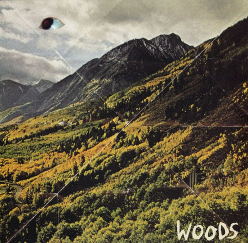 Woods (2) | Songs Of Shame (New)