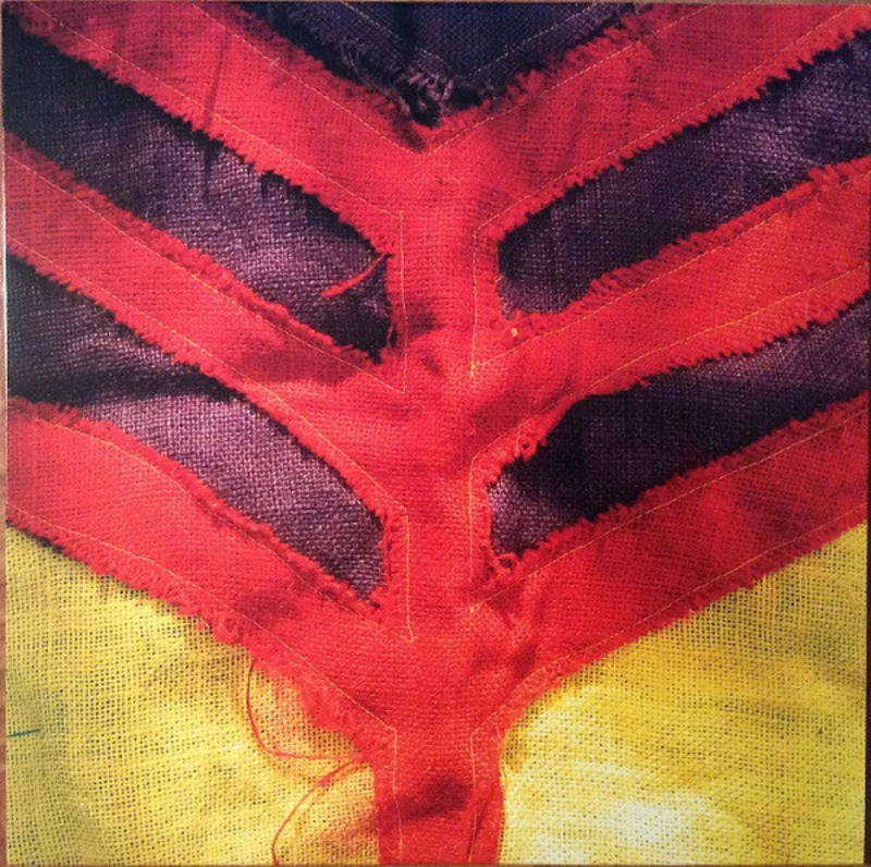 Yeah Yeah Yeahs | Show Your Bones (New)