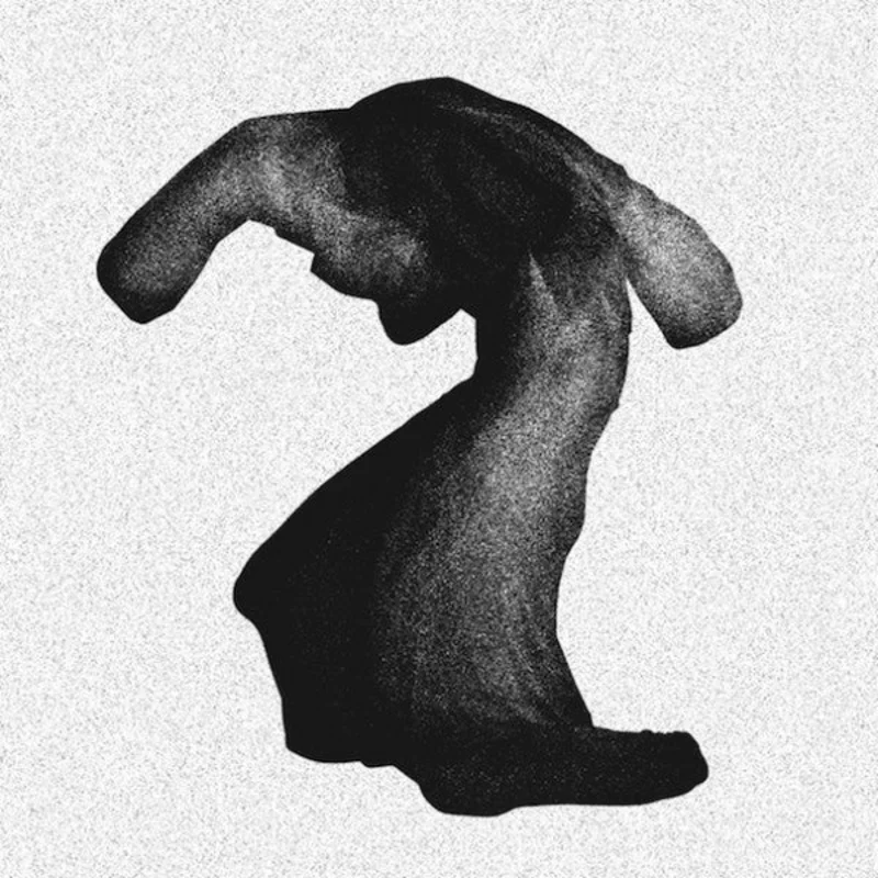 Yeasayer | Fragrant World (New)