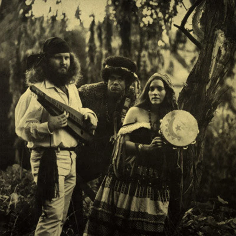 Yellow Autumn | Children Of The Mist