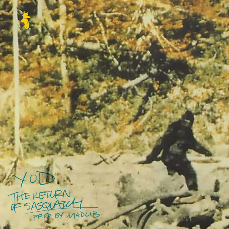 Your Old Droog - The Return Of Sasquatch