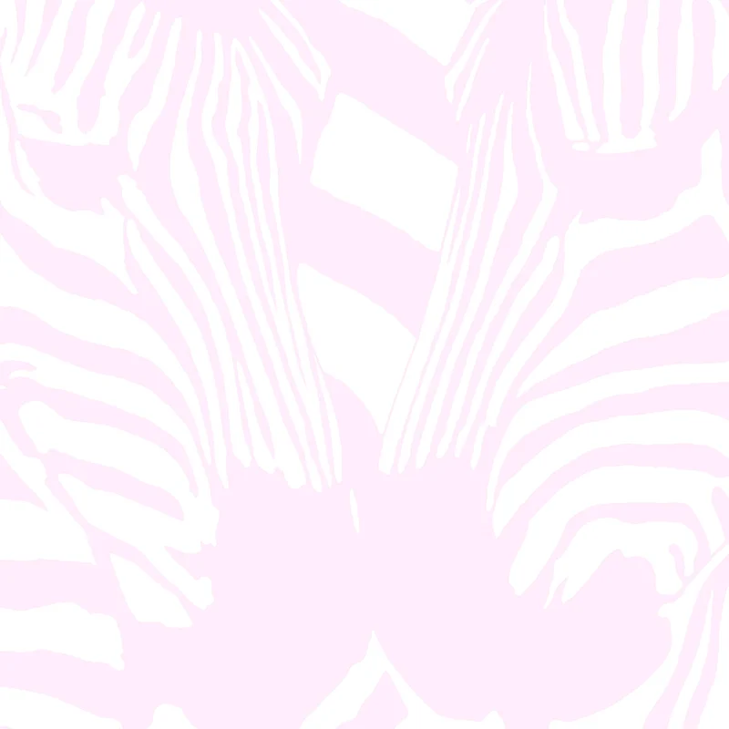 Zebra (Beach House Cover)